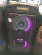 اسپیکر-آیوا-مدل-SS-X80DSP-