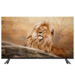 تلویزیون-ال-ای-دی-اسنوا-65-اینچ-مدل-15100-