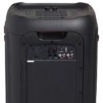 درگاه های ورودی/خروجی اسپیکر پارتی باکس 1000