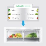 محفظه-میوه-و-سبزیجات-یخچال-دوو-مدل-DB-2832